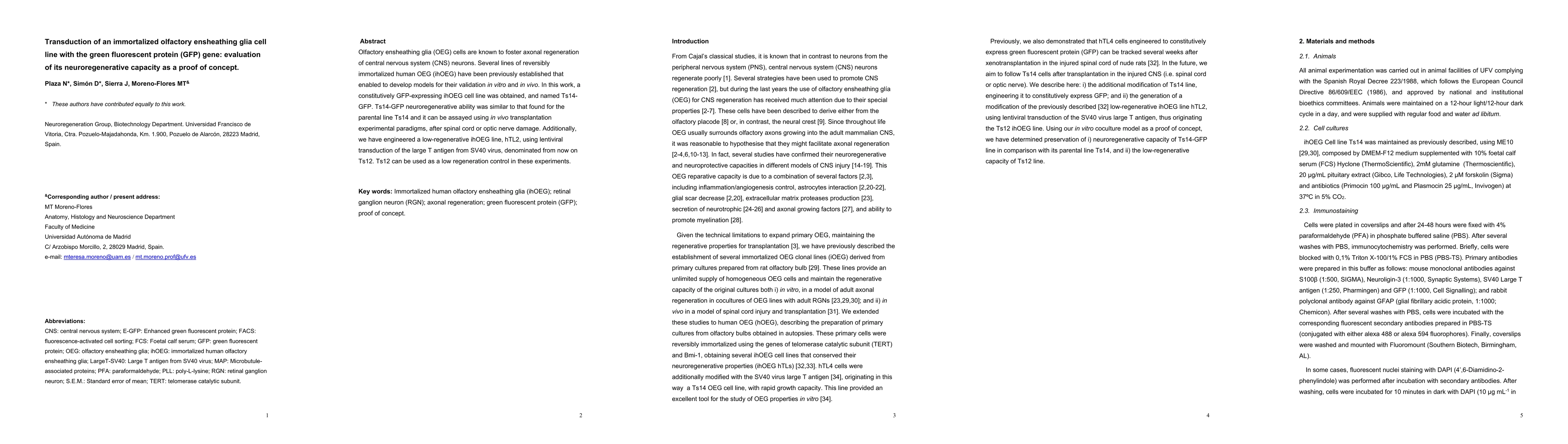 Thumbnail for Transduction of an immortalized olfactory ensheathing glia cell line
  with the green fluorescent protein (GFP) gene: evaluation of its
  neuroregenerative capacity as a proof of concept
