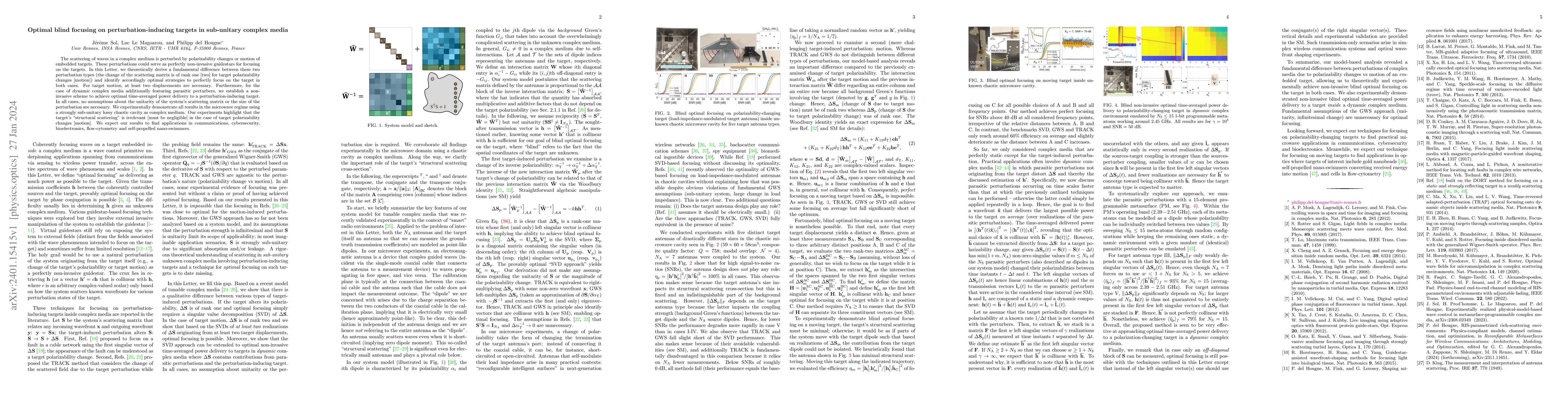 Thumbnail for Optimal blind focusing on perturbation-inducing targets in sub-unitary
  complex media