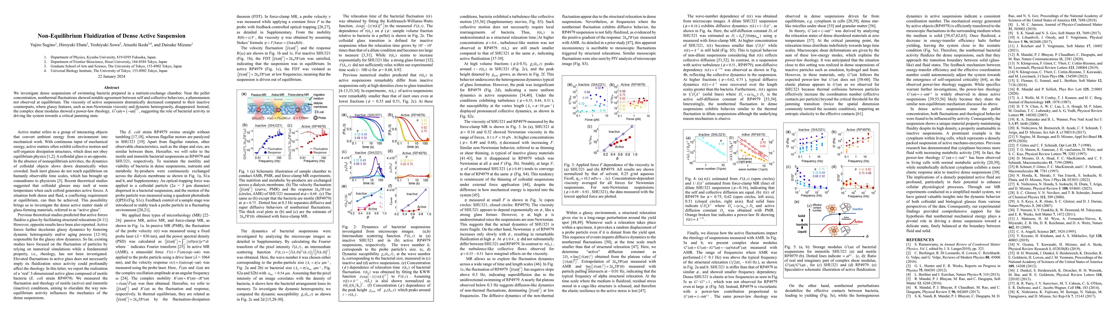 Thumbnail for Non-Equilibrium Fluidization of Dense Active Suspension