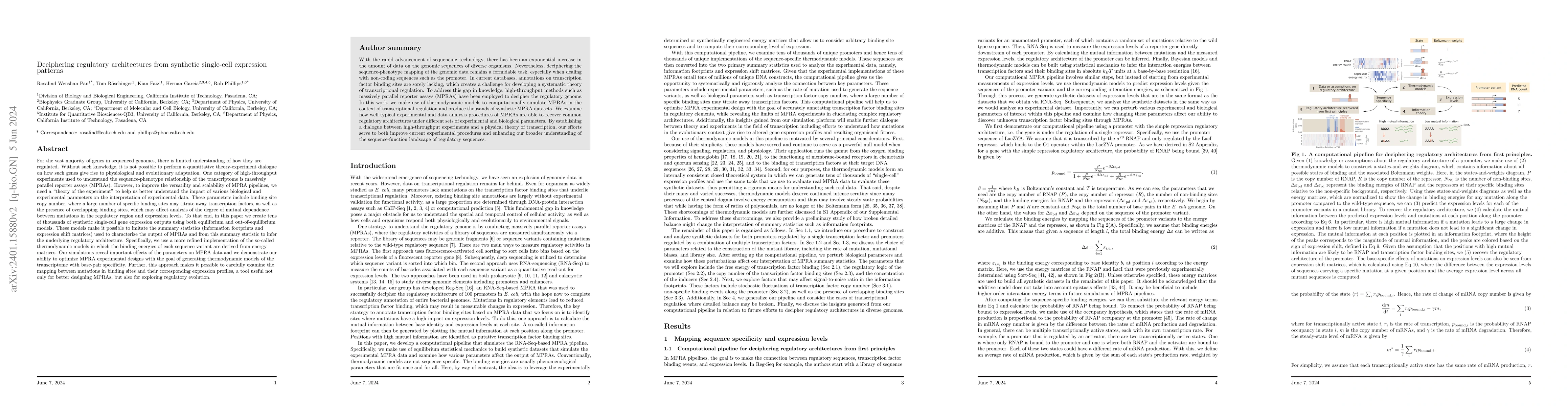 Thumbnail for Deciphering regulatory architectures from synthetic single-cell
  expression patterns
