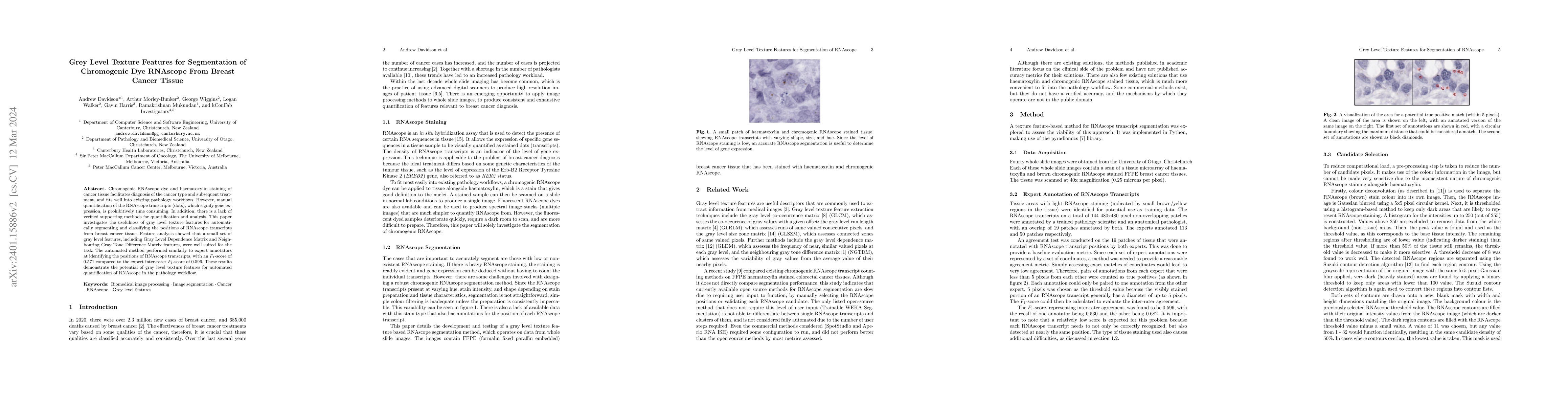 Thumbnail for Grey Level Texture Features for Segmentation of Chromogenic Dye RNAscope
  From Breast Cancer Tissue