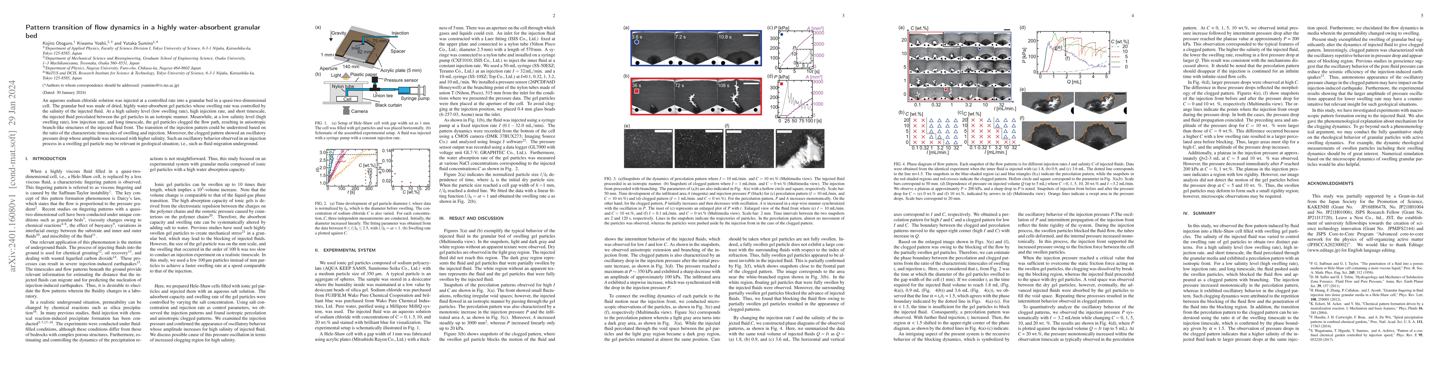 Thumbnail for Pattern transition of flow dynamics in a highly water-absorbent granular
  bed