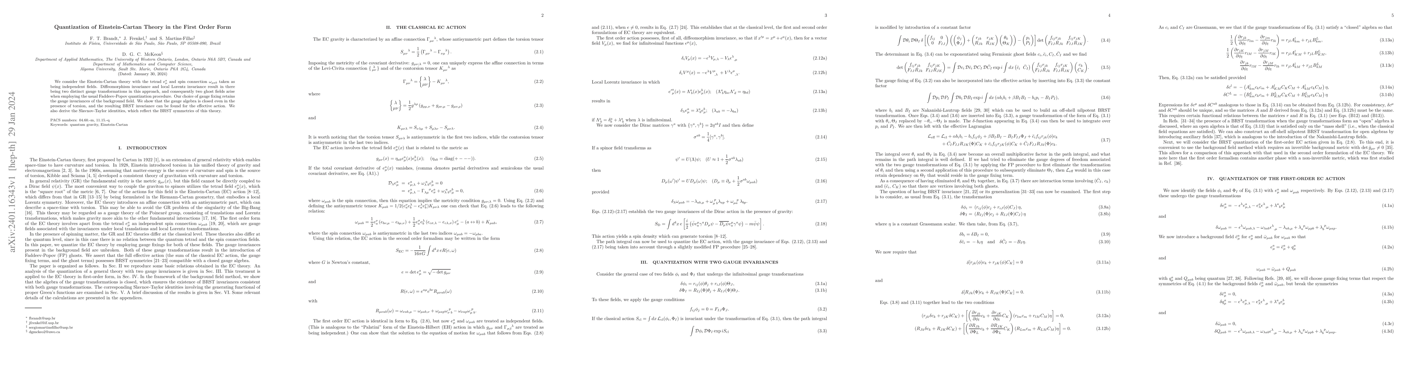 Thumbnail for Quantization of Einstein-Cartan theory in the first order form