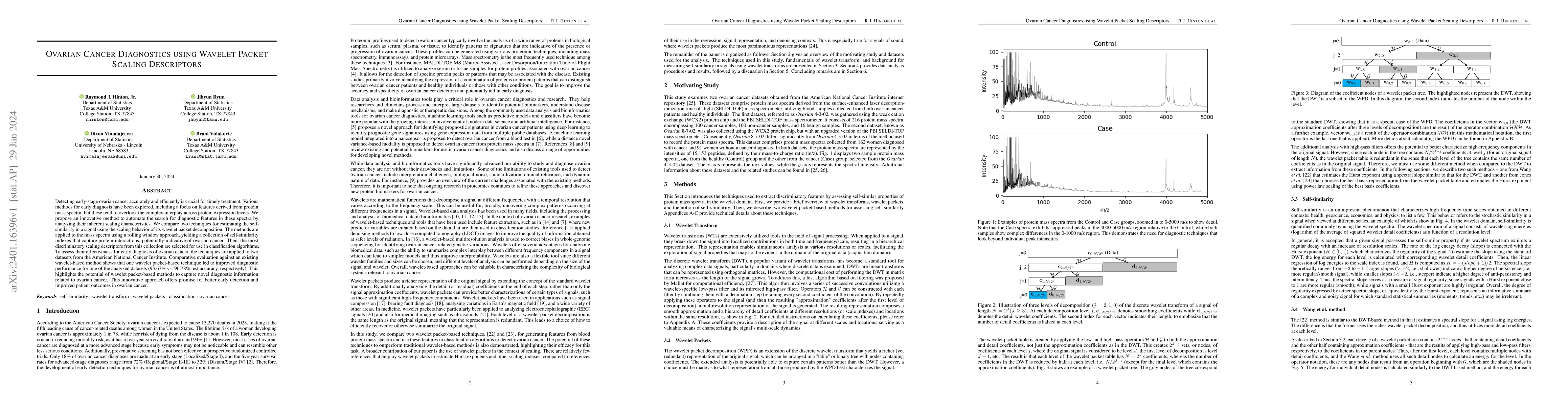 Thumbnail for Ovarian Cancer Diagnostics using Wavelet Packet Scaling Descriptors