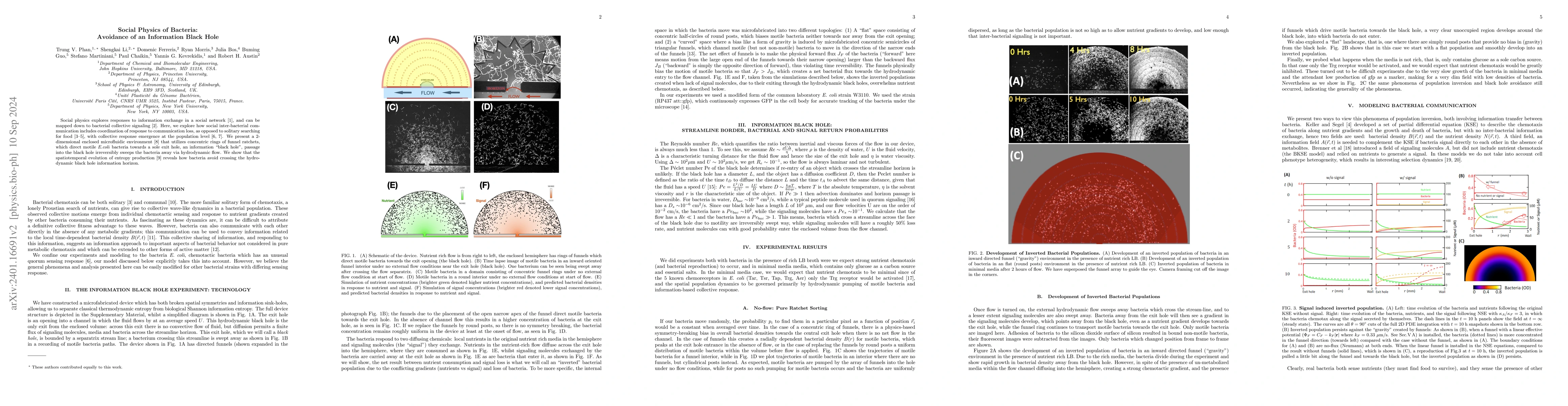 Thumbnail for Social Physics of Bacteria: Avoidance of an Information Black Hole
