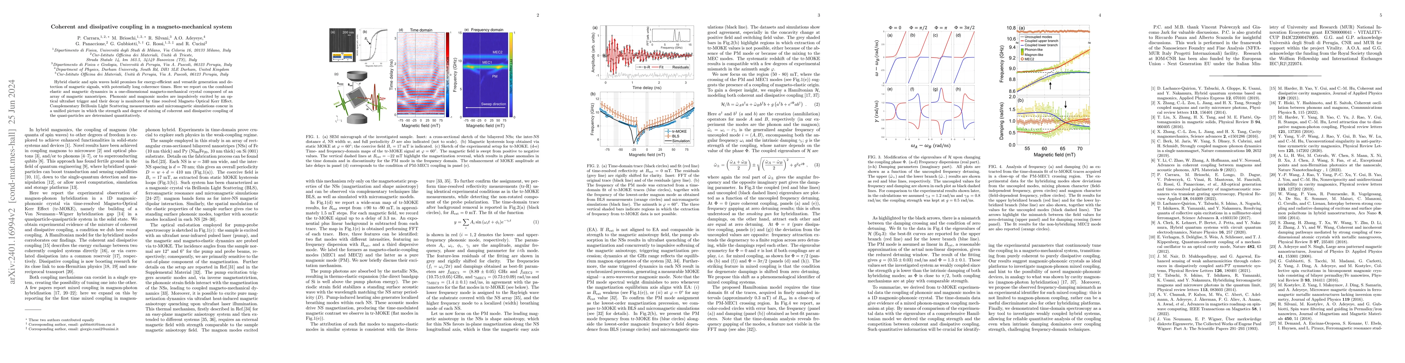 Thumbnail for Coherent and dissipative coupling in a magneto-mechanical system