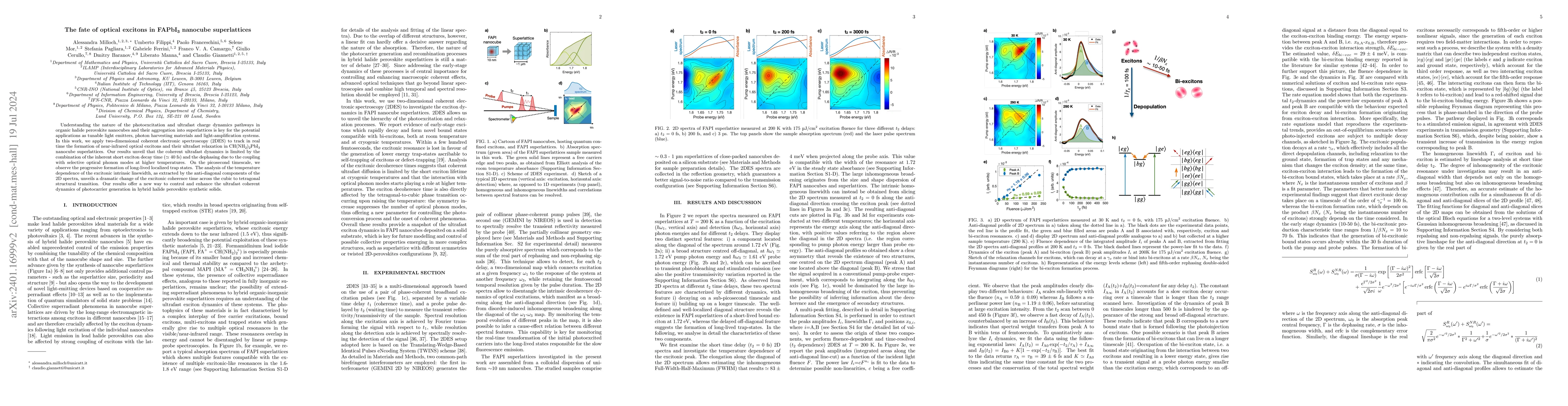 Thumbnail for The fate of optical excitons in FAPbI3 nanocube superlattices