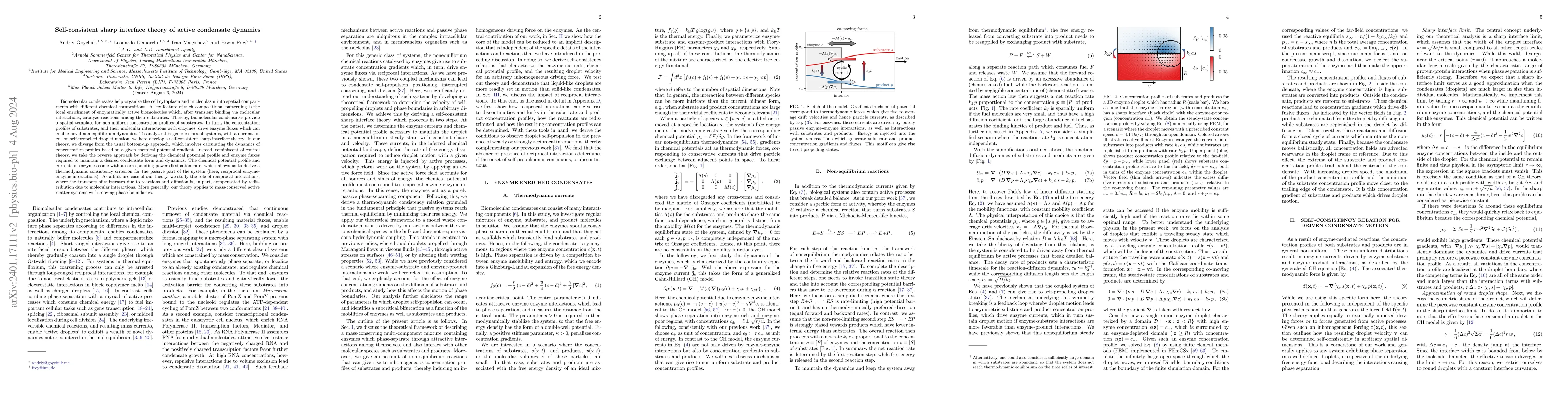 Thumbnail for Self-consistent sharp interface theory of active condensate dynamics