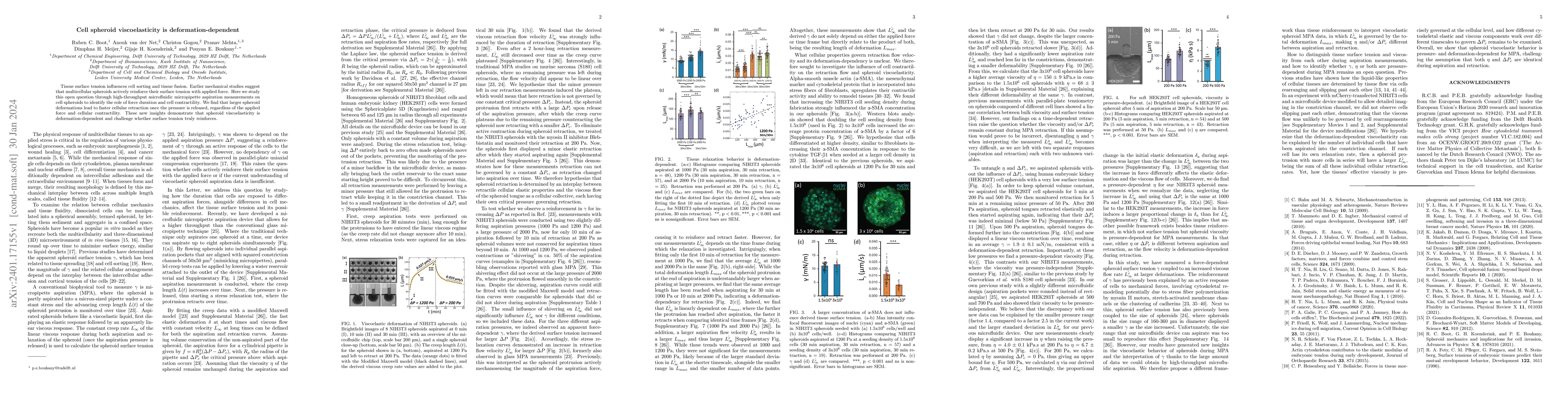 Thumbnail for Cell spheroid viscoelasticity is deformation-dependent