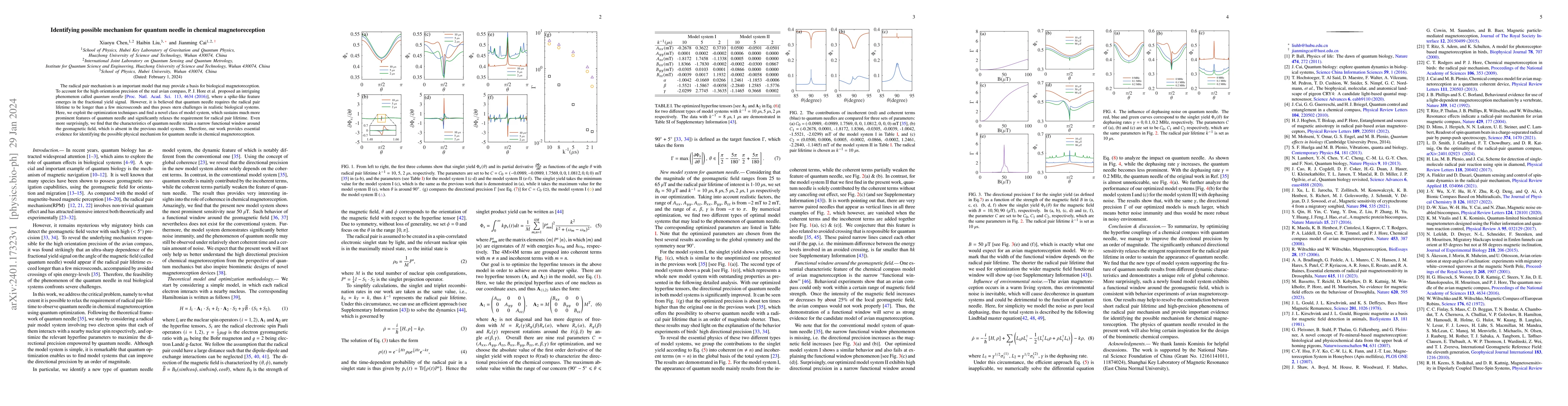 Thumbnail for Identifying possible mechanism for quantum needle in chemical
  magnetoreception