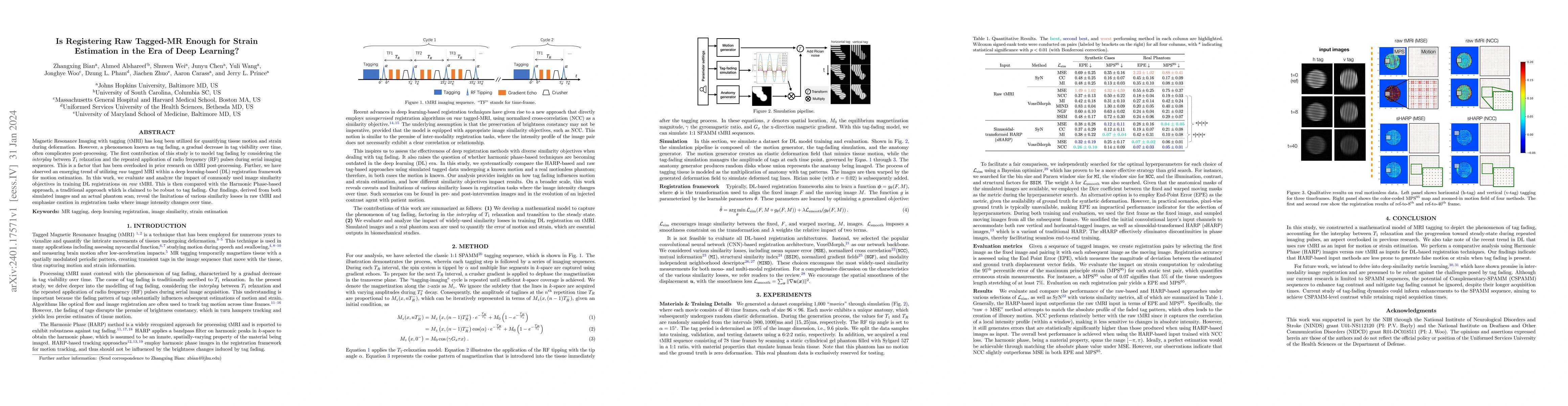 Thumbnail for Is Registering Raw Tagged-MR Enough for Strain Estimation in the Era of
  Deep Learning?