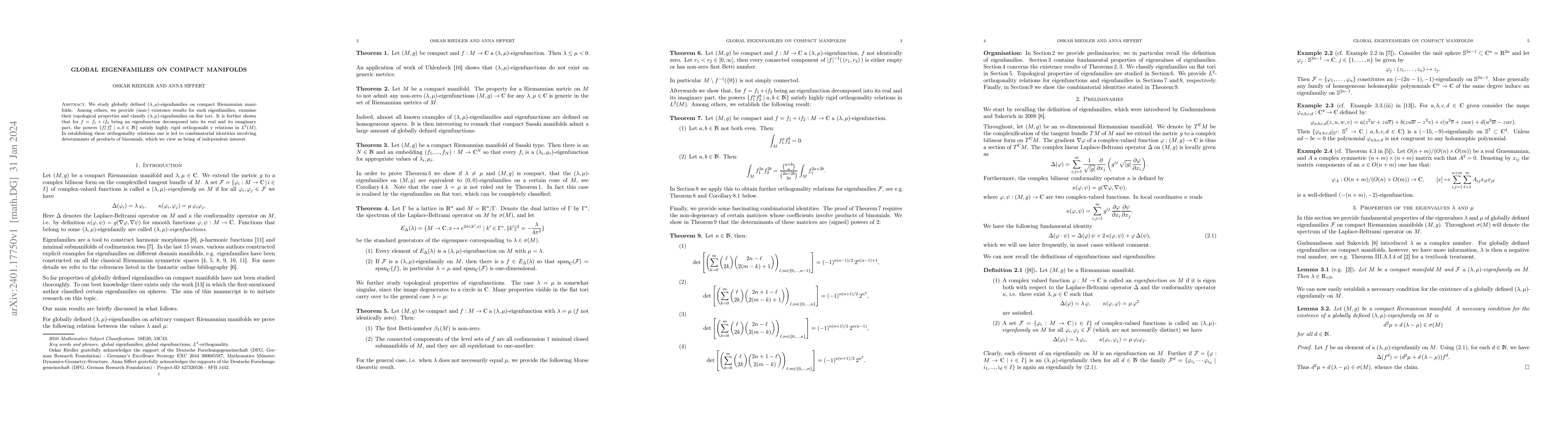 Thumbnail for Global eigenfamilies on compact manifolds