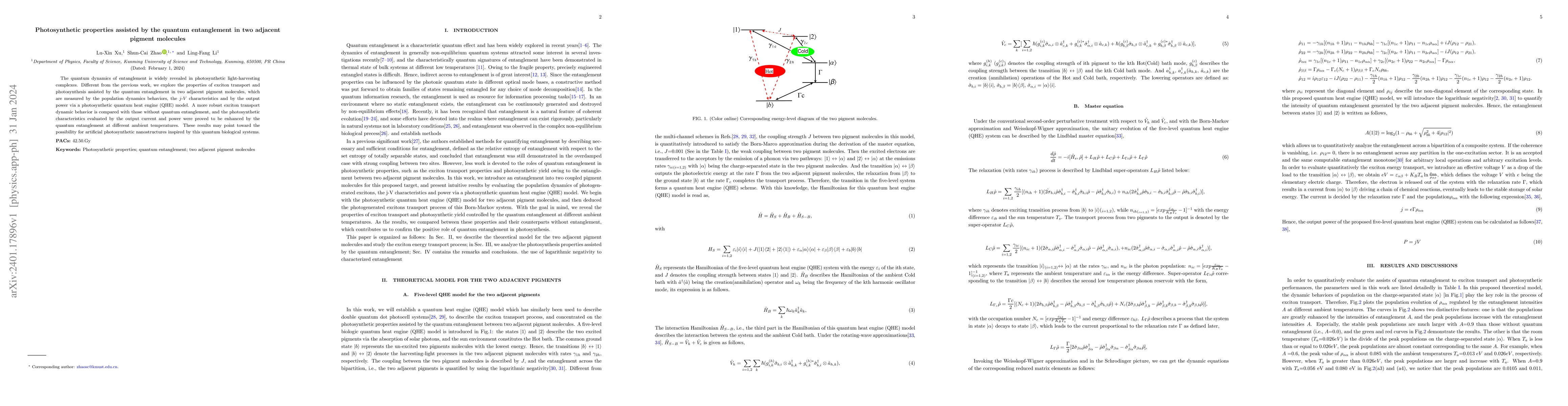 Thumbnail for Photosynthetic properties assisted by the quantum entanglement in two
  adjacent pigment molecules