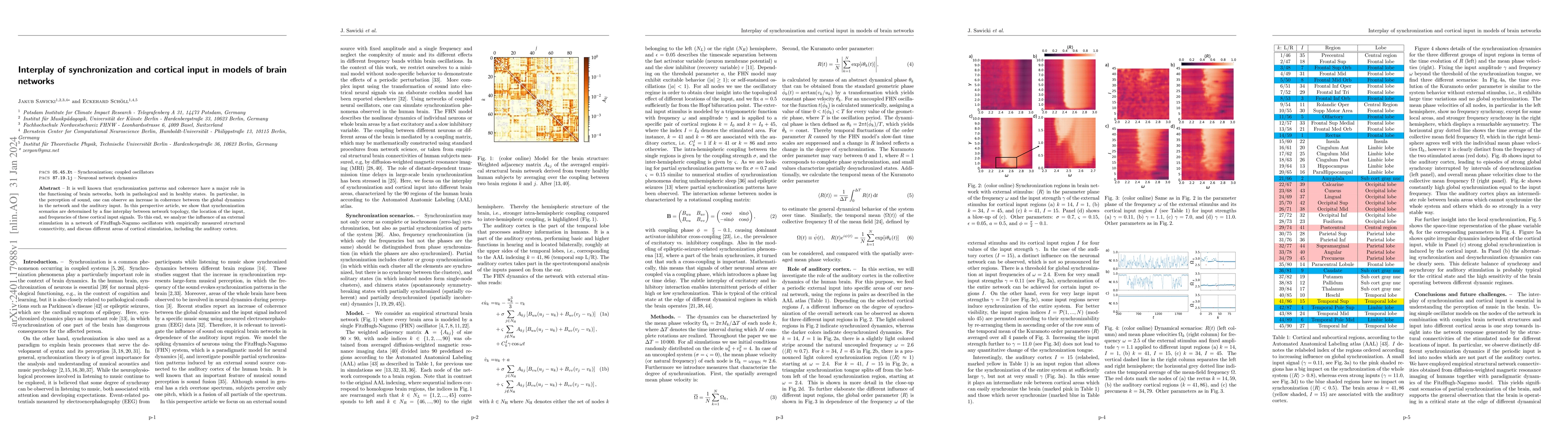 Thumbnail for Interplay of synchronization and cortical input in models of brain
  networks
