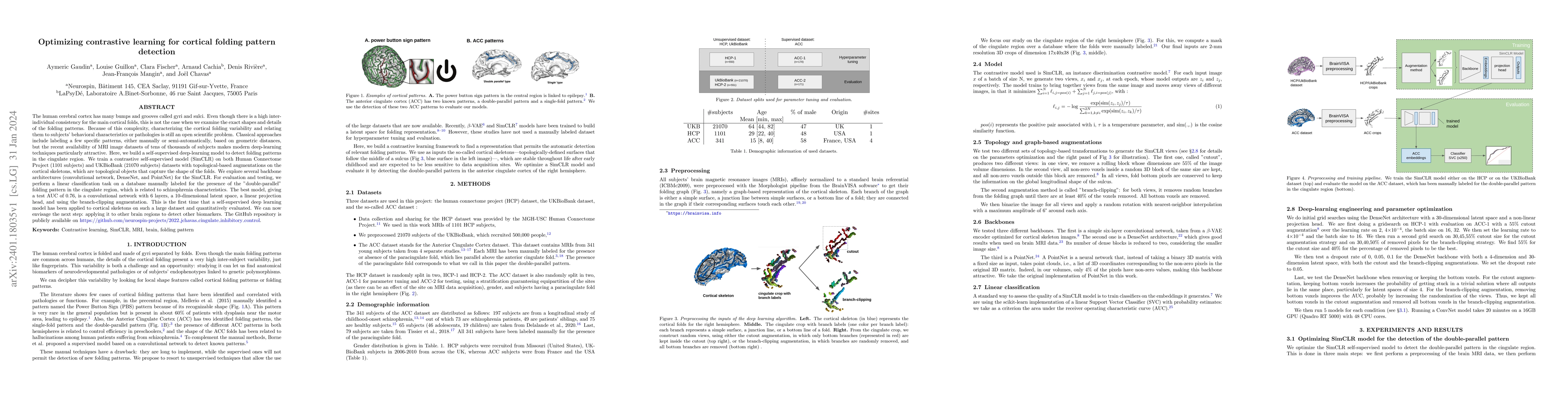Thumbnail for Optimizing contrastive learning for cortical folding pattern detection