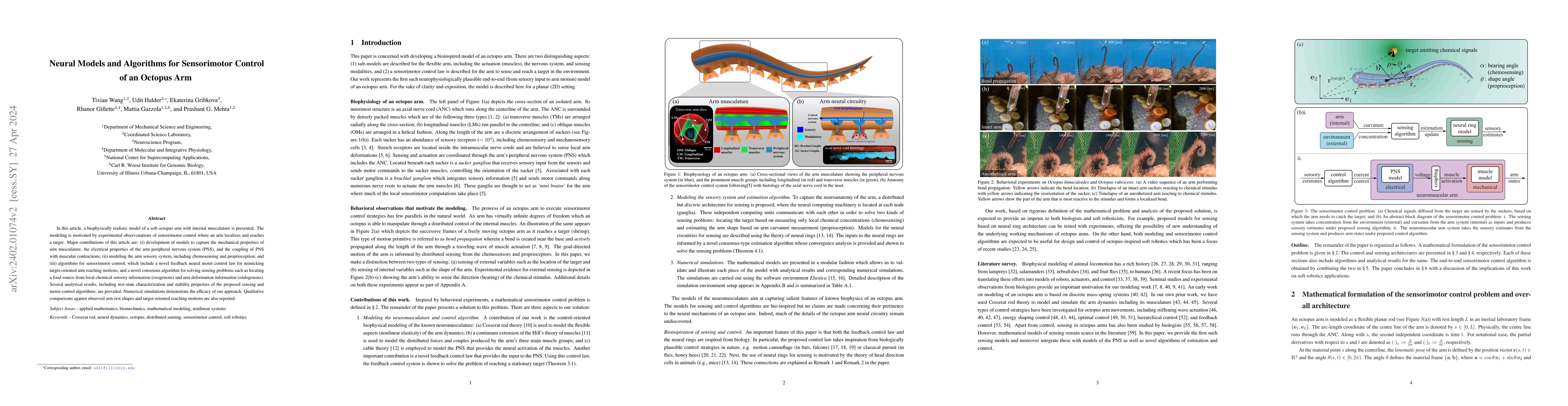 Thumbnail for Neural Models and Algorithms for Sensorimotor Control of an Octopus Arm