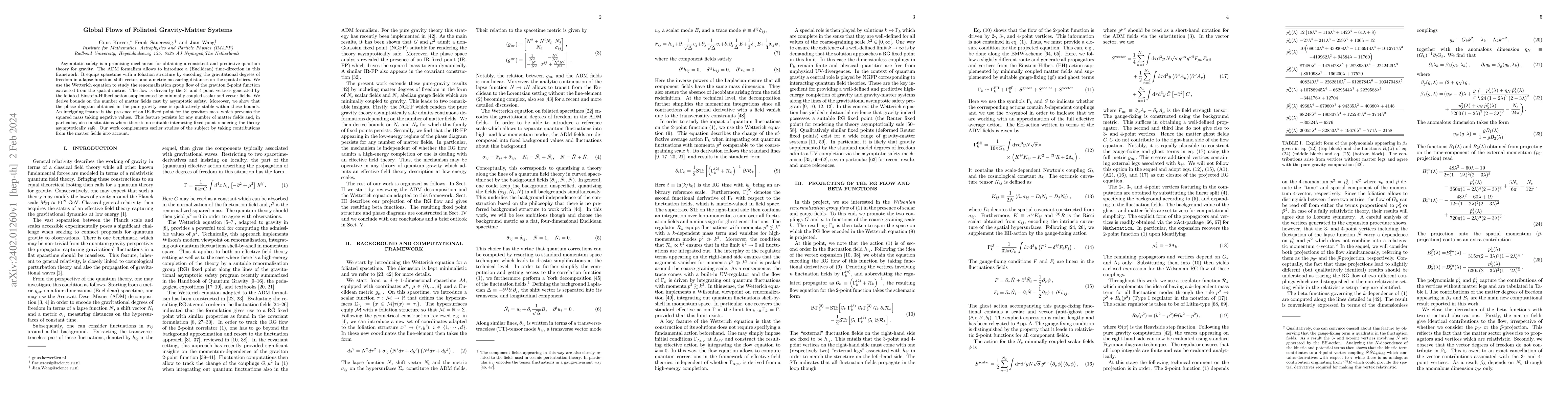Thumbnail for Global Flows of Foliated Gravity-Matter Systems