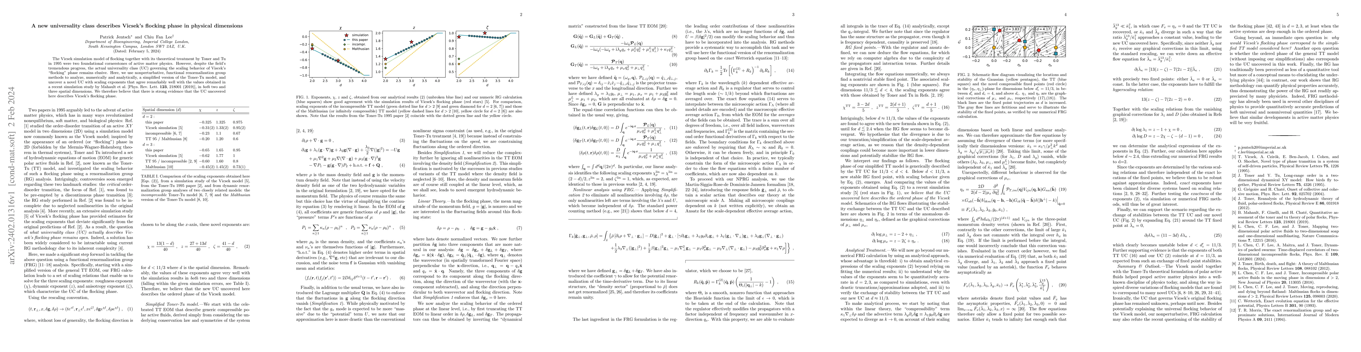 Thumbnail for A new universality class describes Vicsek's flocking phase in physical
  dimensions