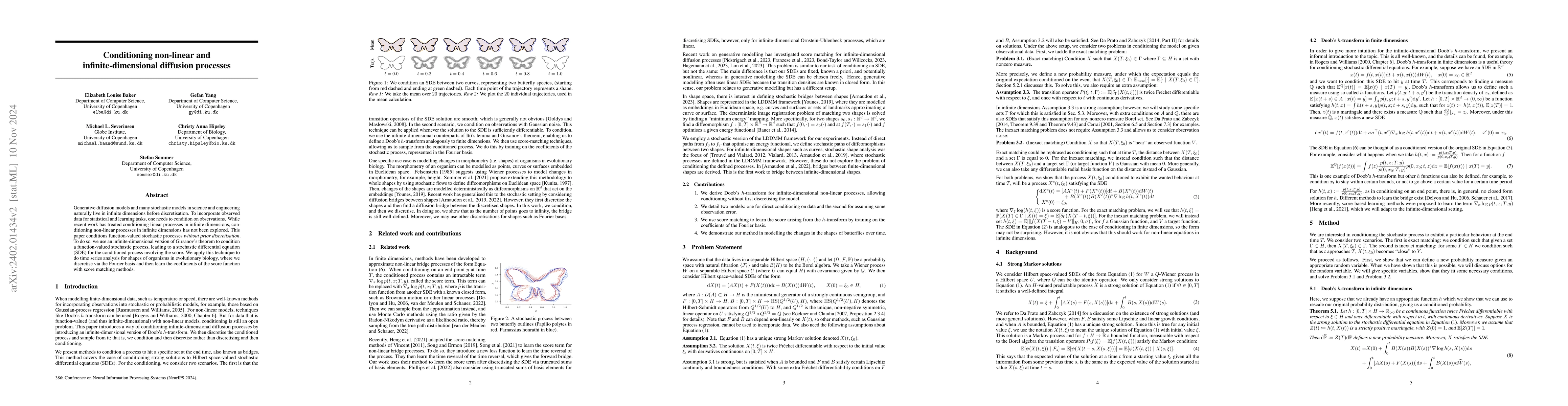 Thumbnail for Conditioning non-linear and infinite-dimensional diffusion processes