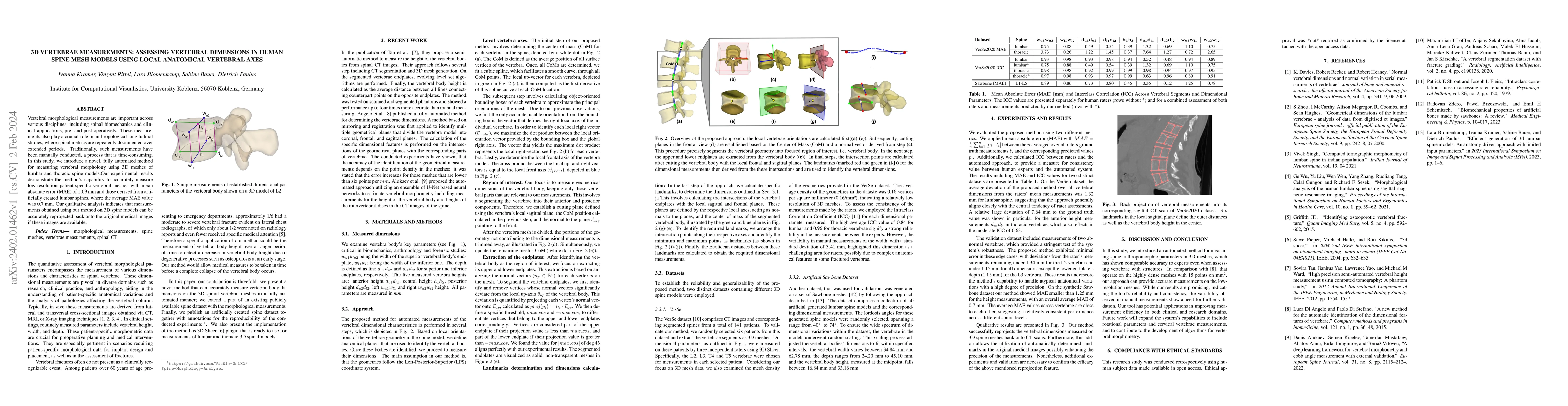 Thumbnail for 3D Vertebrae Measurements: Assessing Vertebral Dimensions in Human Spine
  Mesh Models Using Local Anatomical Vertebral Axes