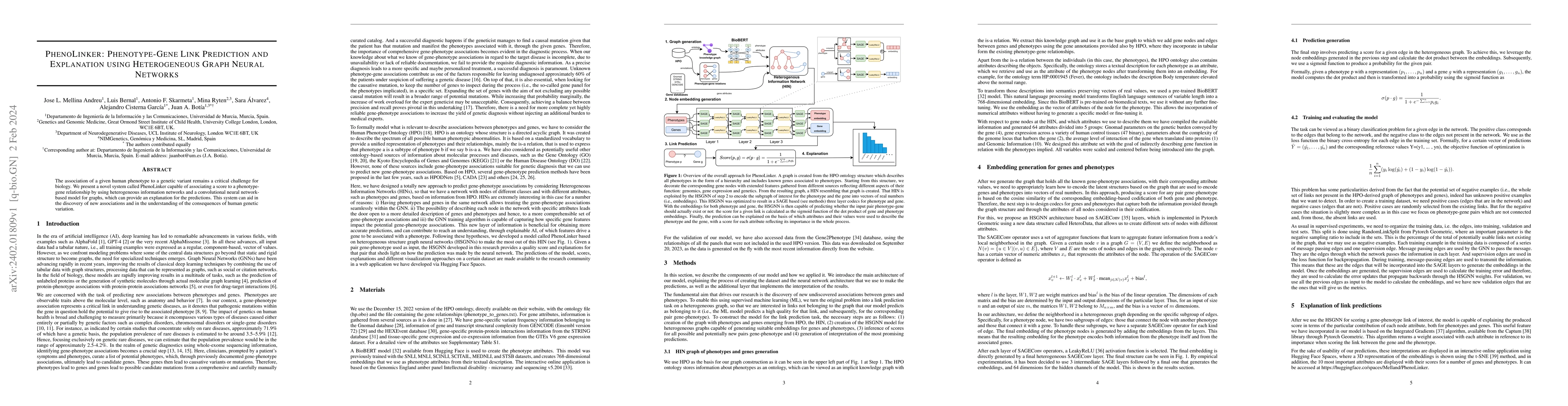 Thumbnail for PhenoLinker: Phenotype-Gene Link Prediction and Explanation using
  Heterogeneous Graph Neural Networks