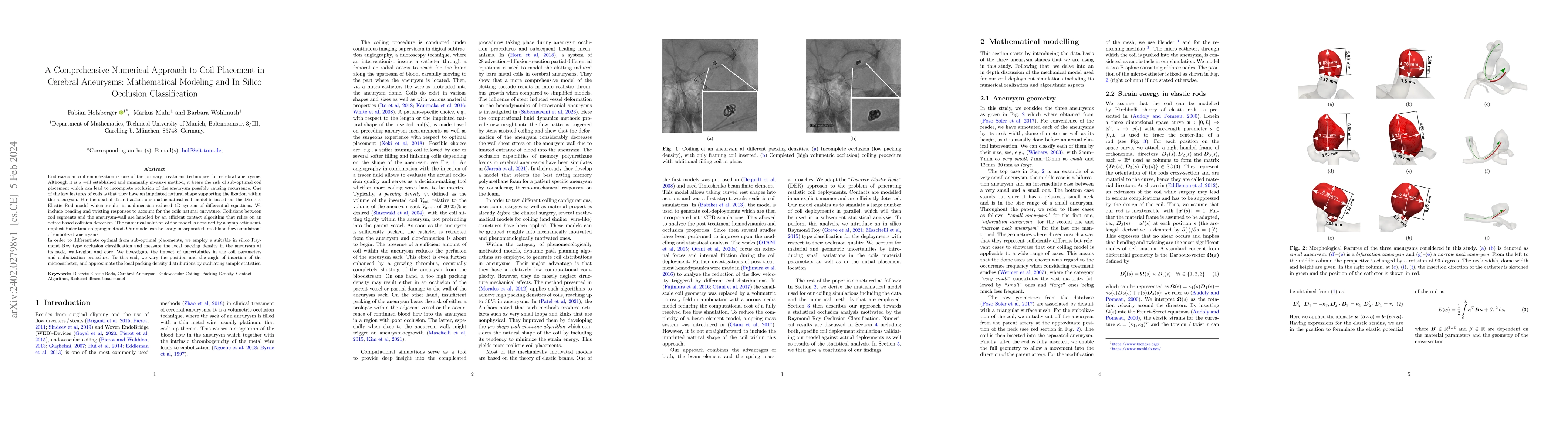 Thumbnail for A Comprehensive Numerical Approach to Coil Placement in Cerebral
  Aneurysms: Mathematical Modeling and In Silico Occlusion Classification