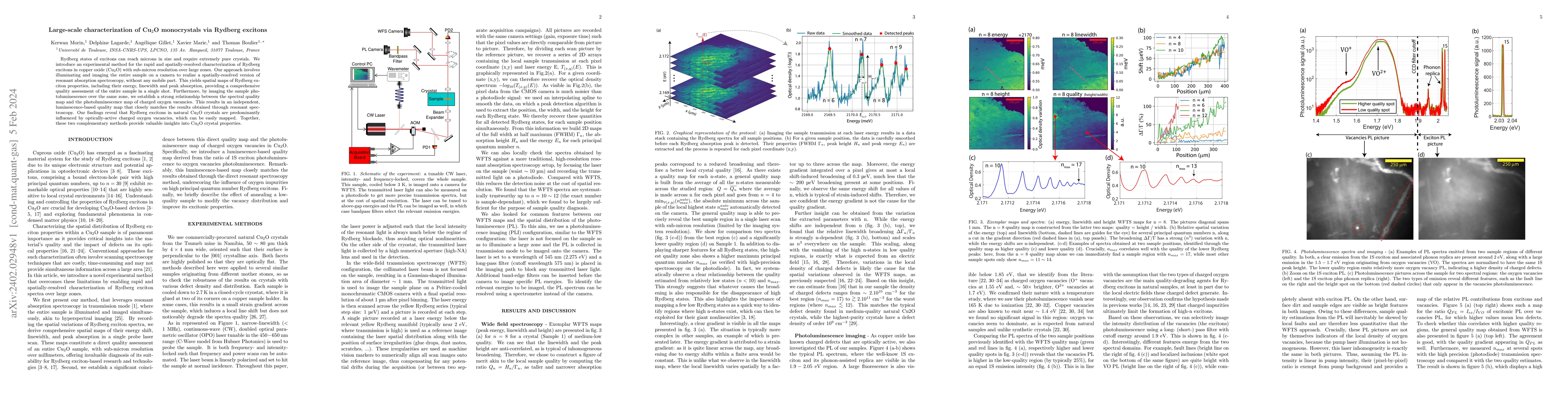 Thumbnail for Large-scale characterization of Cu2O monocrystals via Rydberg excitons