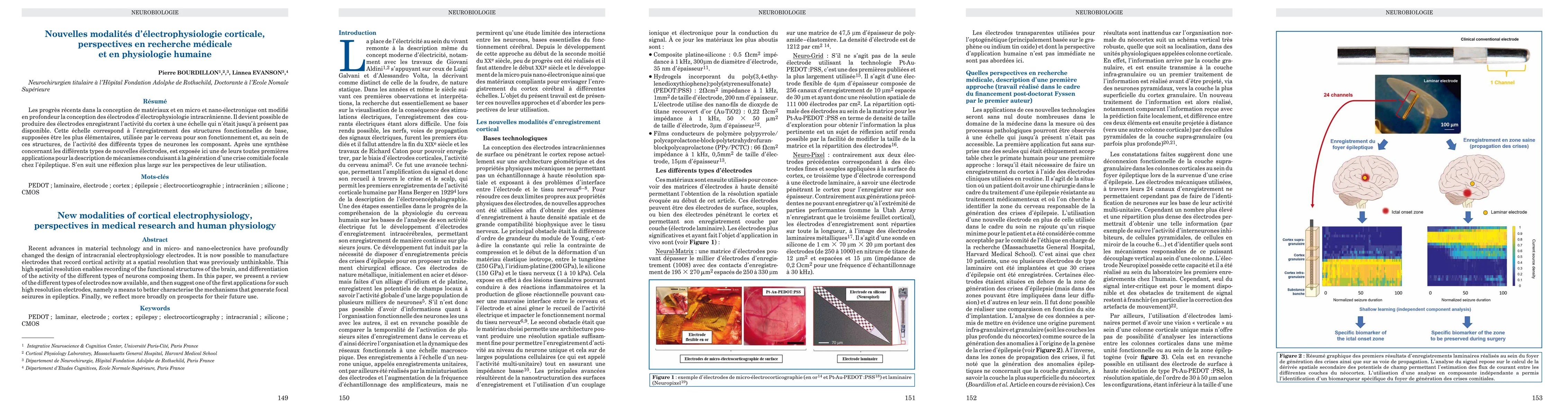 Thumbnail for New modalities of cortical electrophysiology, perspectives in medical
  research and human physiology