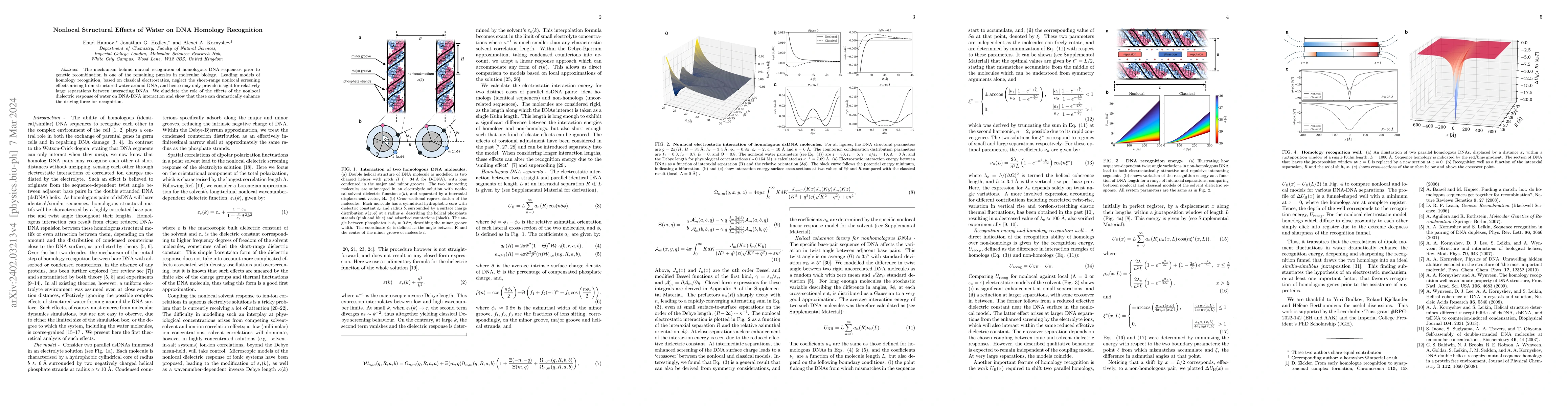Thumbnail for Nonlocal Structural Effects of Water on DNA Homology Recognition