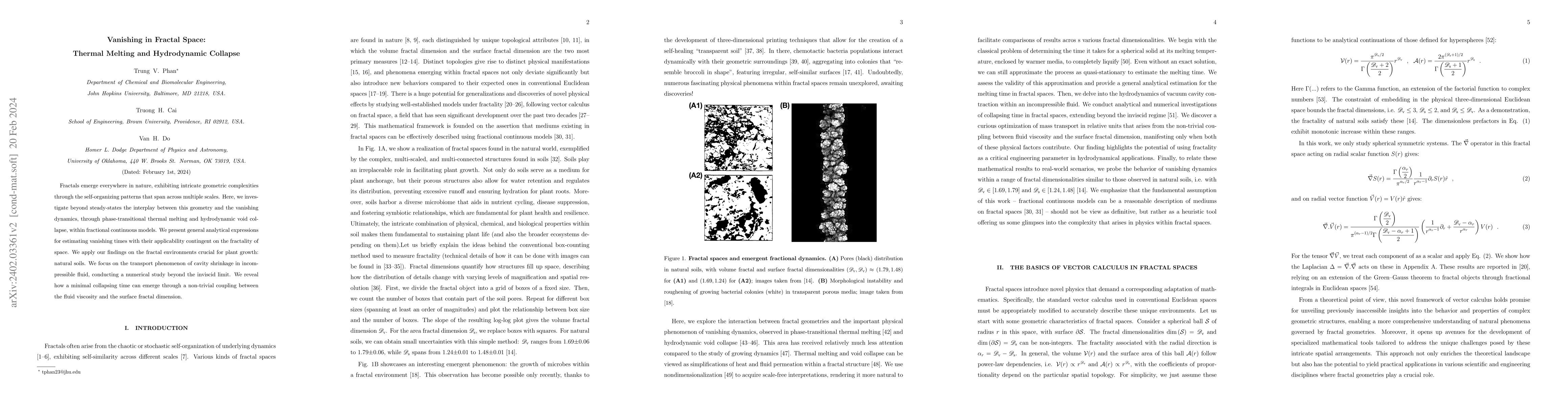 Thumbnail for Vanishing in Fractal Space: Thermal Melting and Hydrodynamic Collapse
