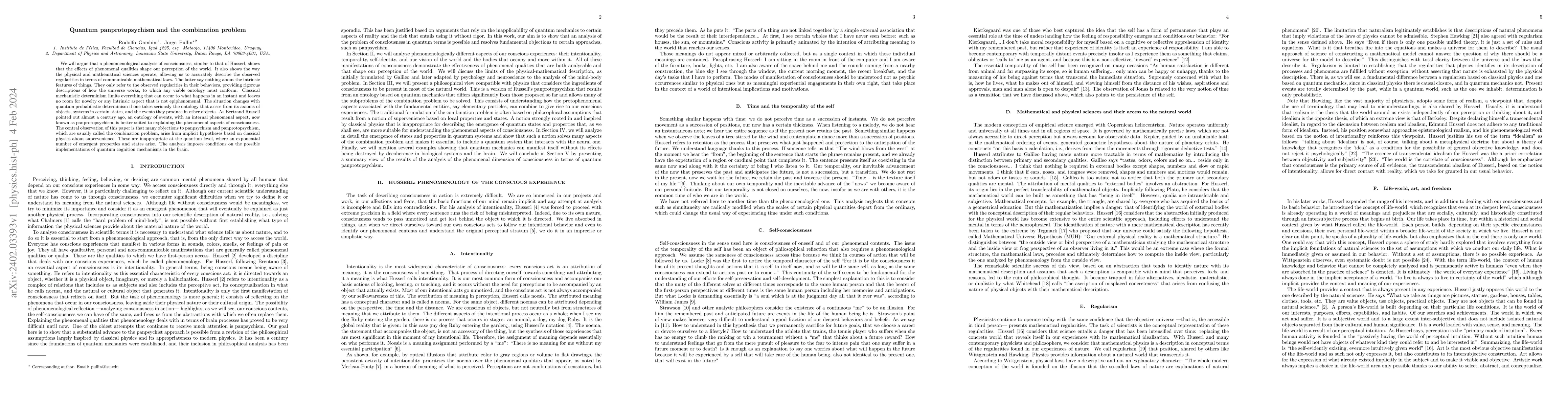 Thumbnail for Quantum panprotopsychism and the combination problem
