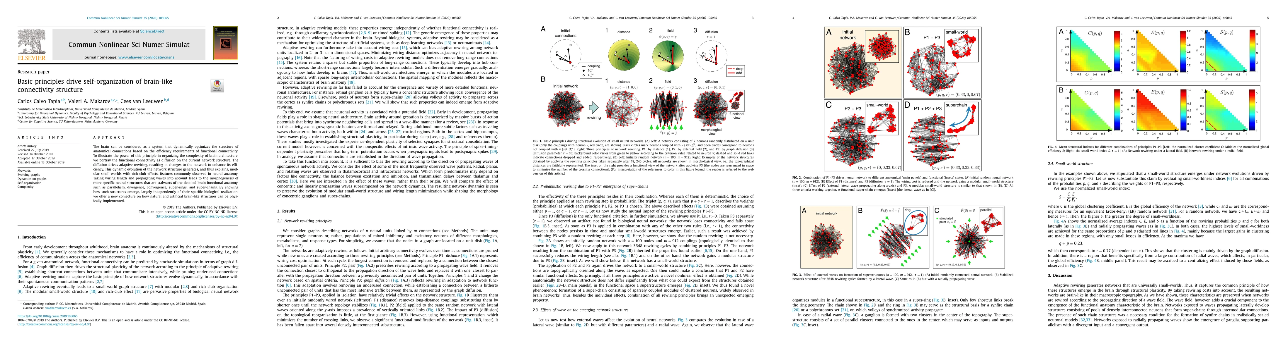 Thumbnail for Basic principles drive self-organization of brain-like connectivity
  structure
