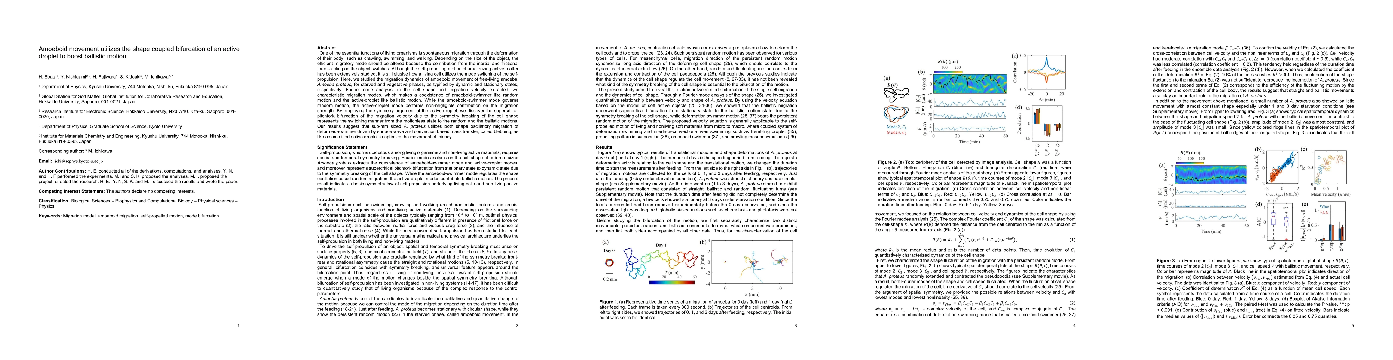 Thumbnail for Amoeboid movement utilizes the shape coupled bifurcation of an active
  droplet to boost ballistic motion