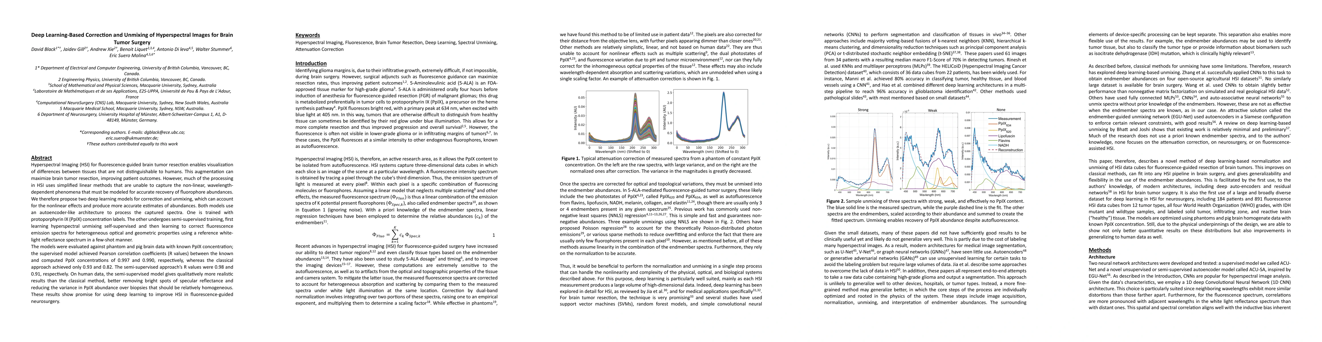 Thumbnail for Deep Learning-Based Correction and Unmixing of Hyperspectral Images for
  Brain Tumor Surgery