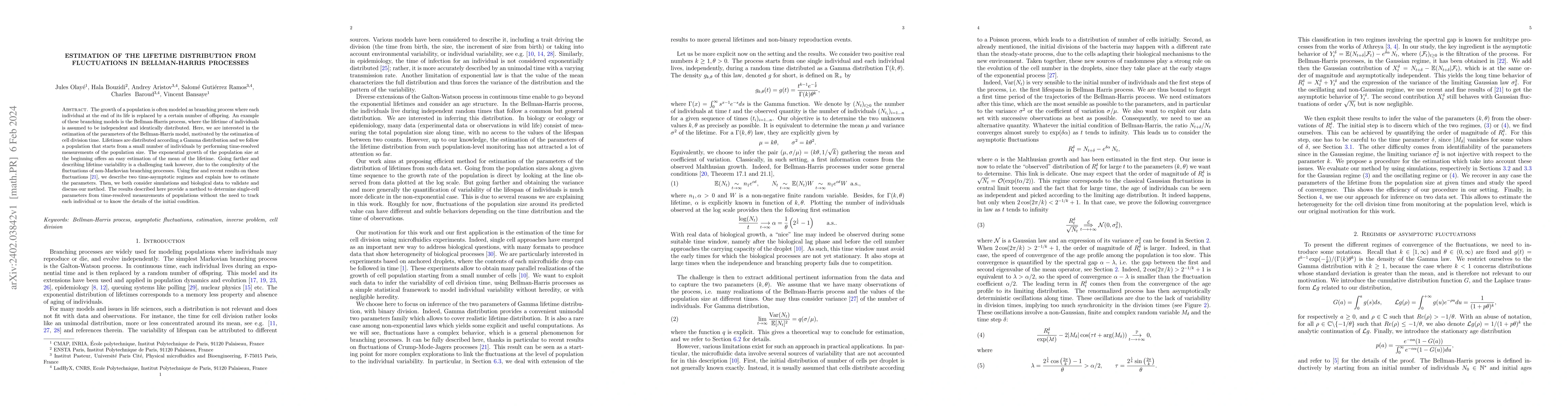 Thumbnail for Estimation of the lifetime distribution from fluctuations in
  Bellman-Harris processes