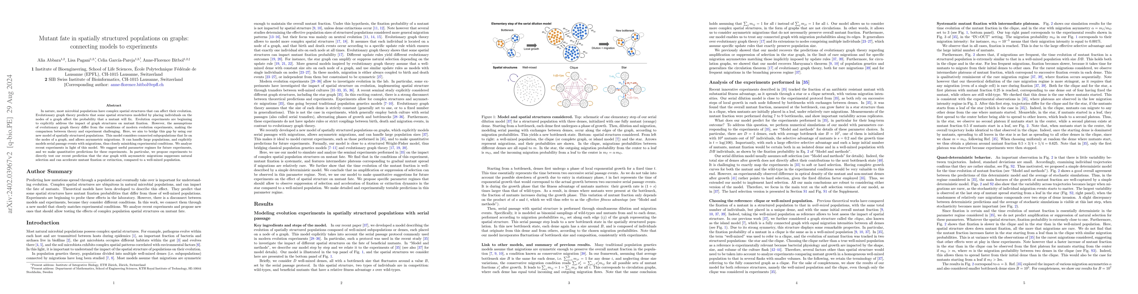 Thumbnail for Mutant fate in spatially structured populations on graphs: connecting
  models to experiments