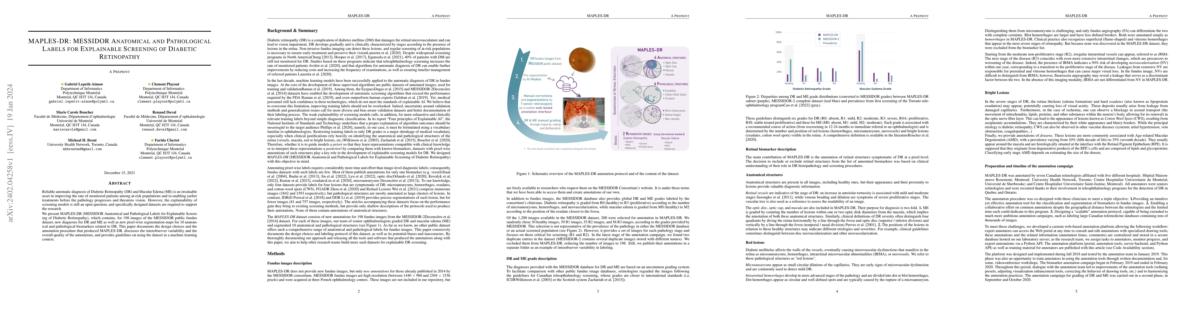 Thumbnail for MAPLES-DR: MESSIDOR Anatomical and Pathological Labels for Explainable
  Screening of Diabetic Retinopathy