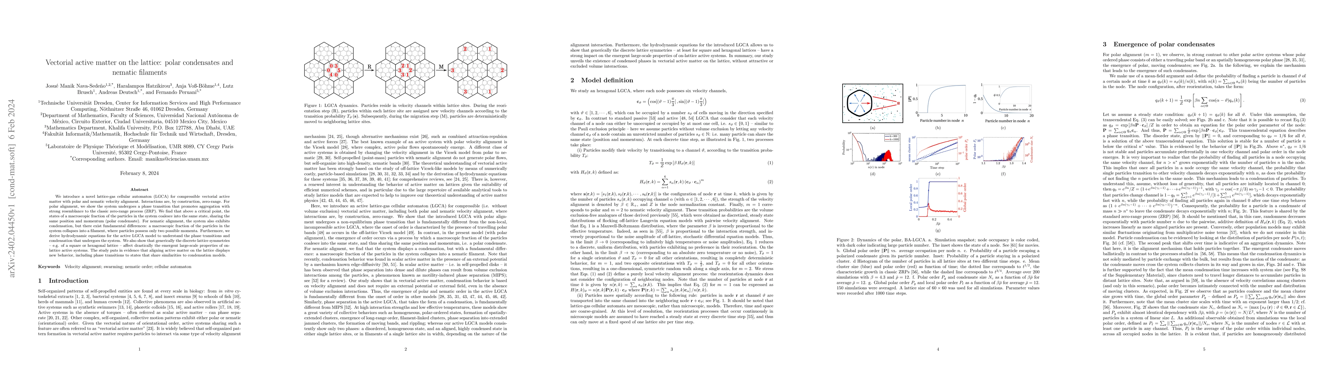 Thumbnail for Vectorial active matter on the lattice: polar condensates and nematic
  filaments