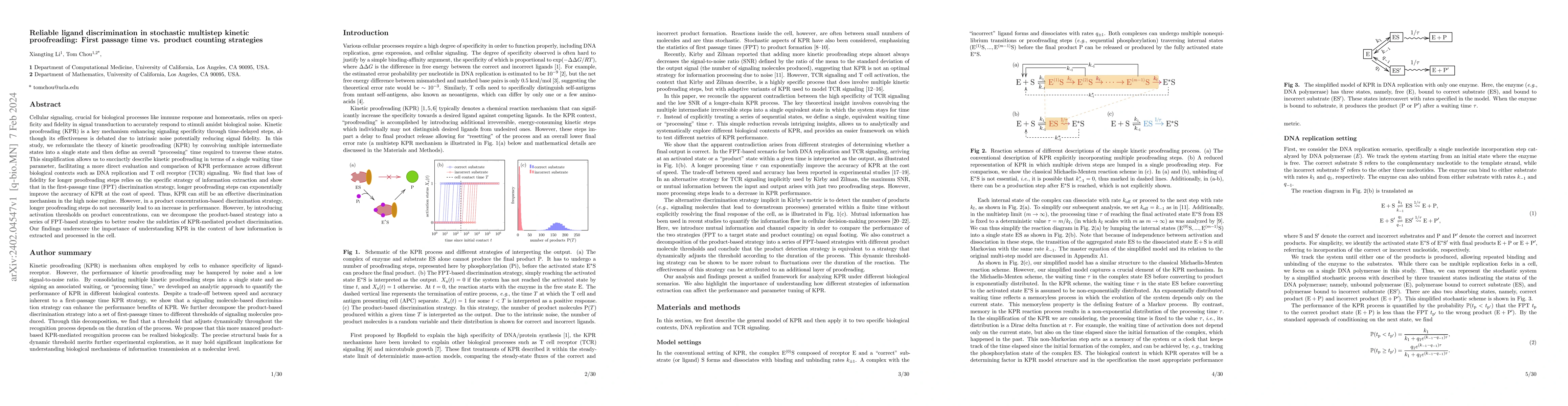 Thumbnail for Reliable ligand discrimination in stochastic multistep kinetic
  proofreading: First passage time vs. product counting strategies