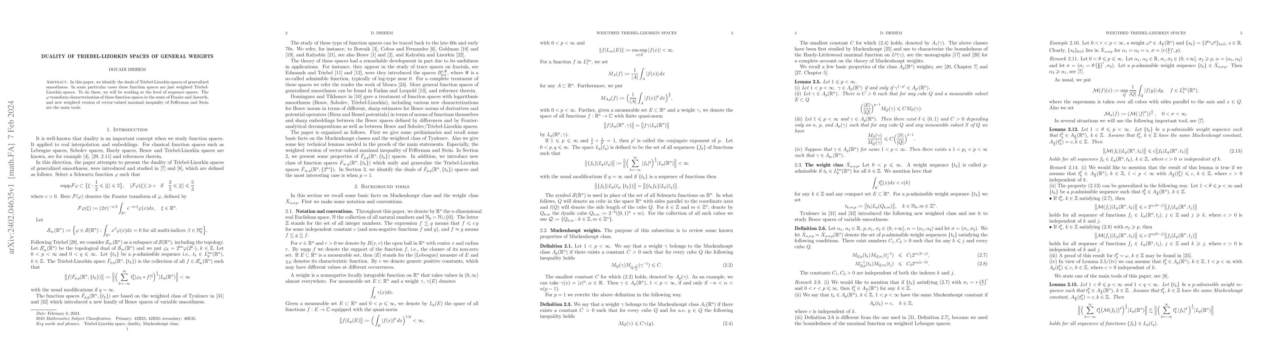 Thumbnail for Duality of Triebel-Lizorkin spaces of general weights