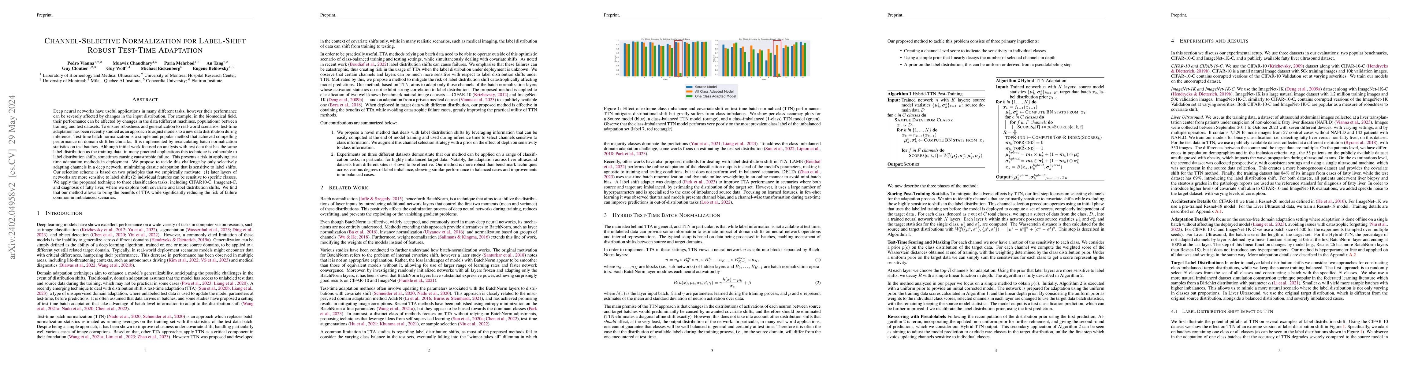 Thumbnail for Channel-Selective Normalization for Label-Shift Robust Test-Time
  Adaptation