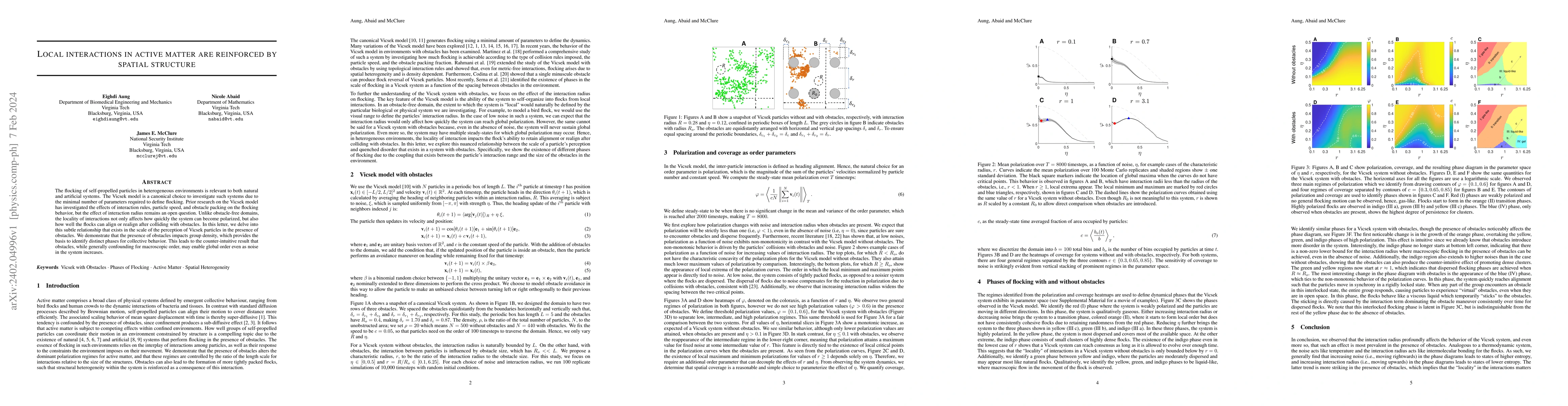 Thumbnail for Local interactions in active matter are reinforced by spatial structure