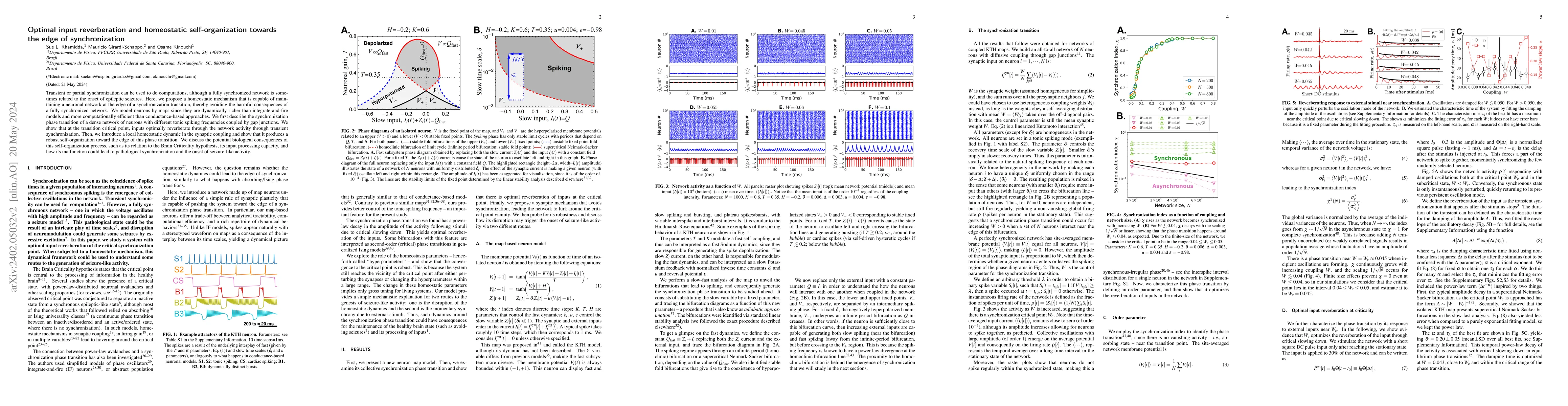 Thumbnail for Optimal input reverberation and homeostatic self-organization towards
  the edge of synchronization