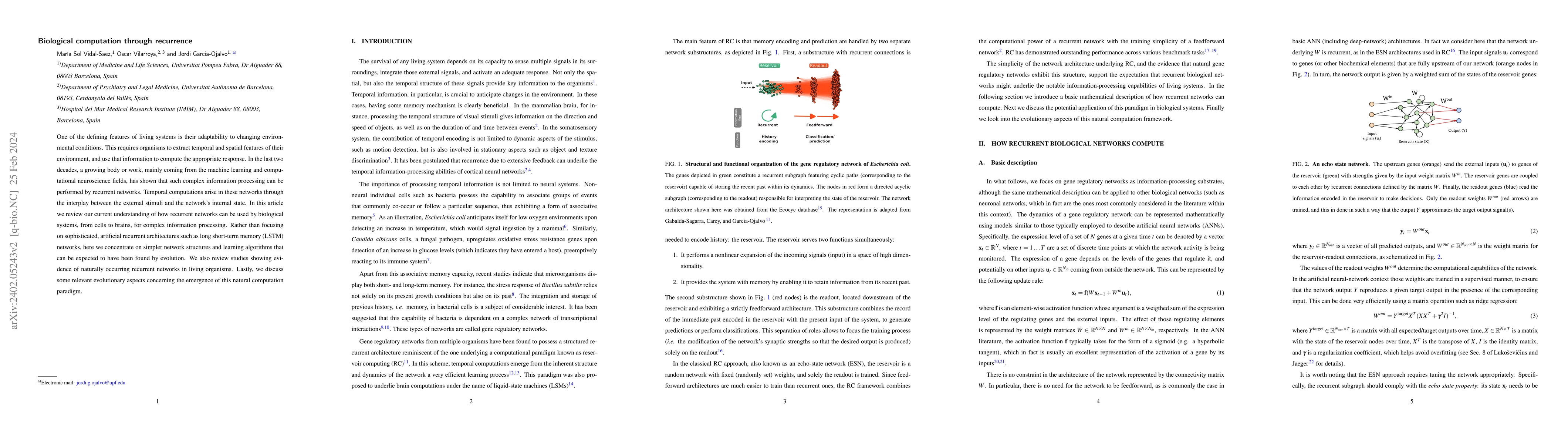 Thumbnail for Biological computation through recurrence