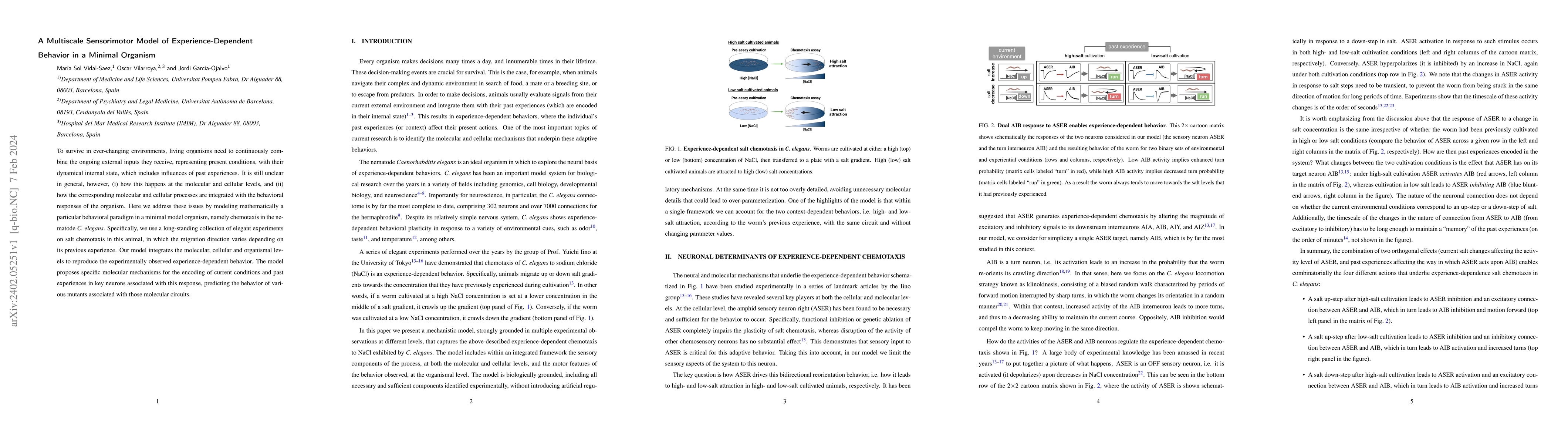 Thumbnail for A multiscale sensorimotor model of experience-dependent behavior in a
  minimal organism
