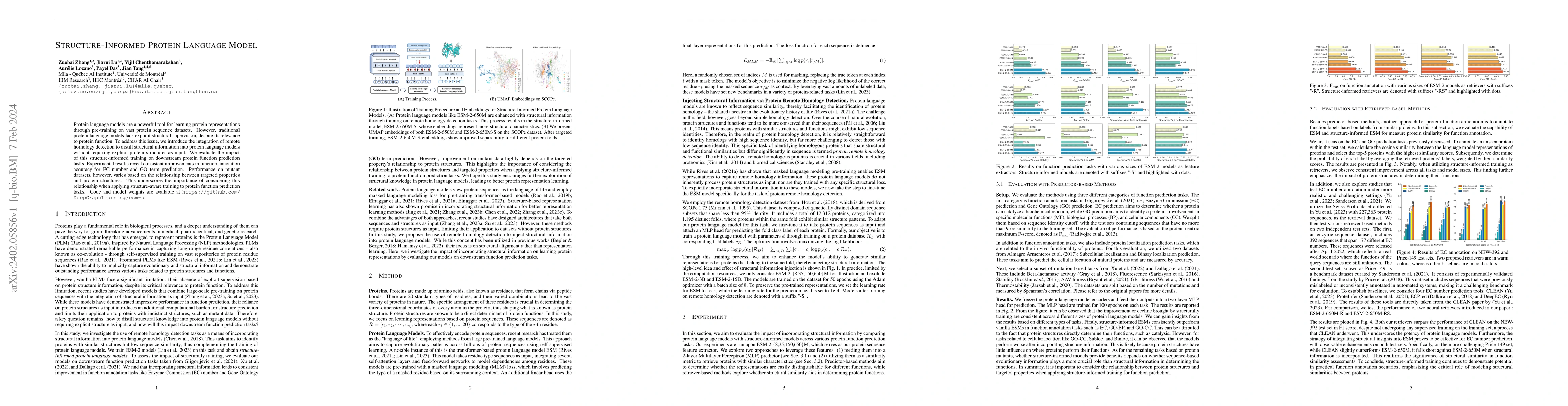 Thumbnail for Structure-Informed Protein Language Model