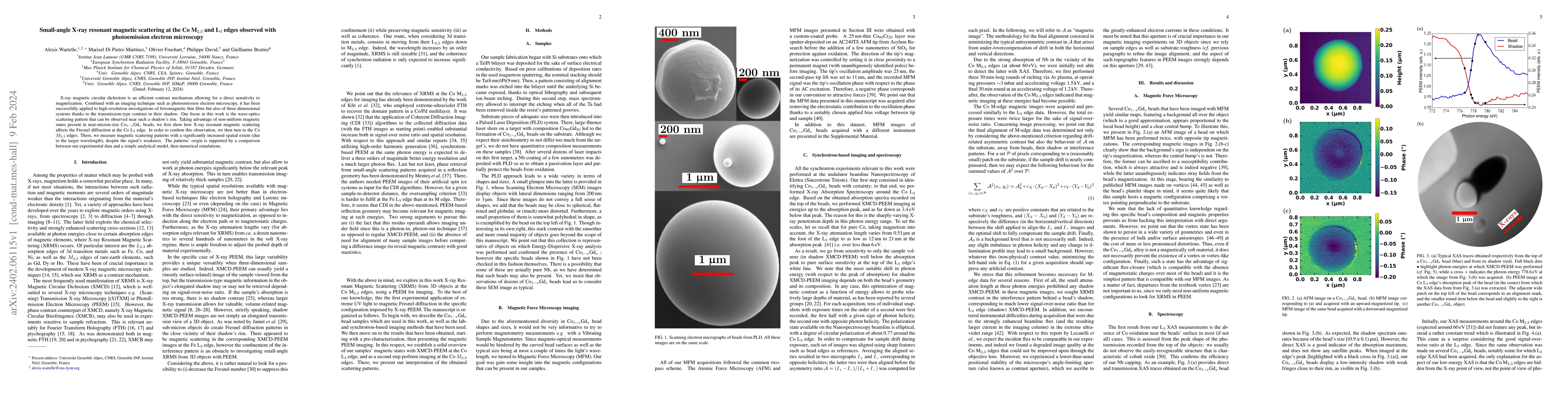 Thumbnail for Small-angle X-ray resonant magnetic scattering at the Co M$_{2,3}$ and
  L$_3$ edges observed with photoemission electron microscopy