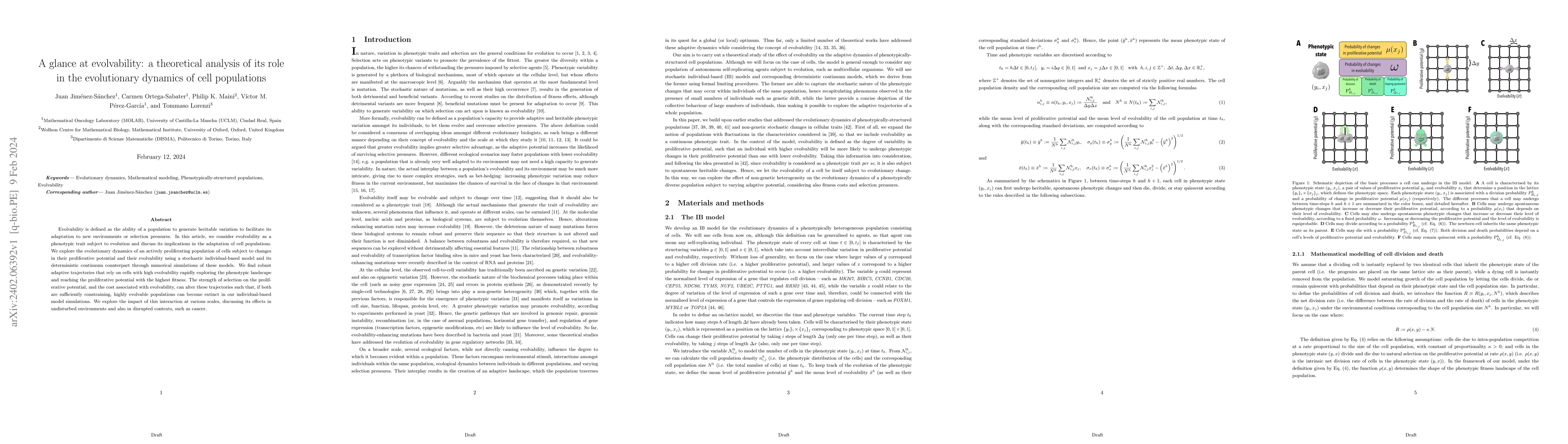Thumbnail for A glance at evolvability: a theoretical analysis of its role in the
  evolutionary dynamics of cell populations