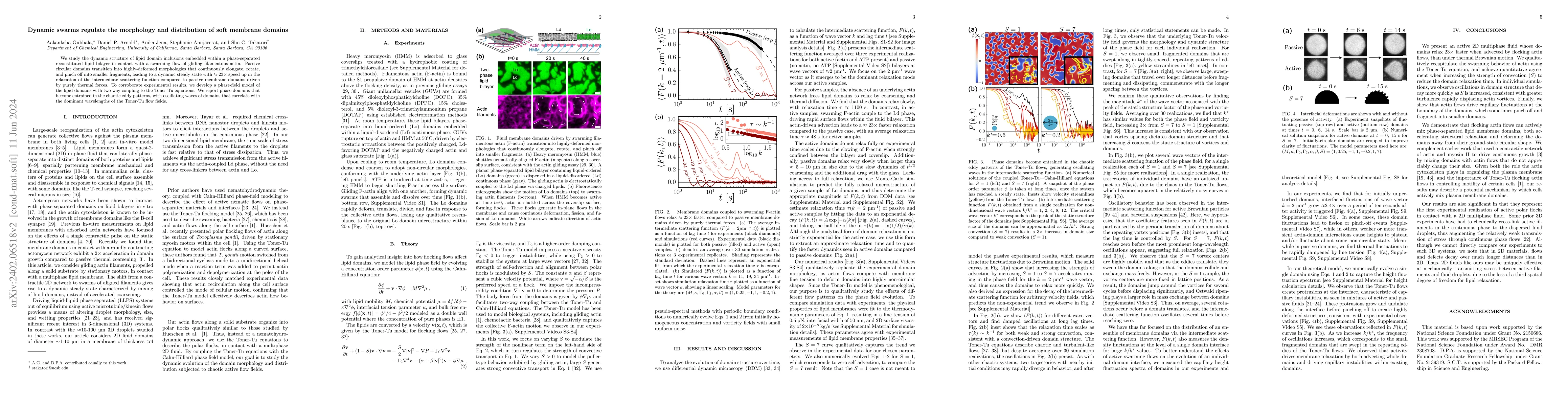 Thumbnail for Dynamic swarms regulate the morphology and distribution of soft membrane
  domains