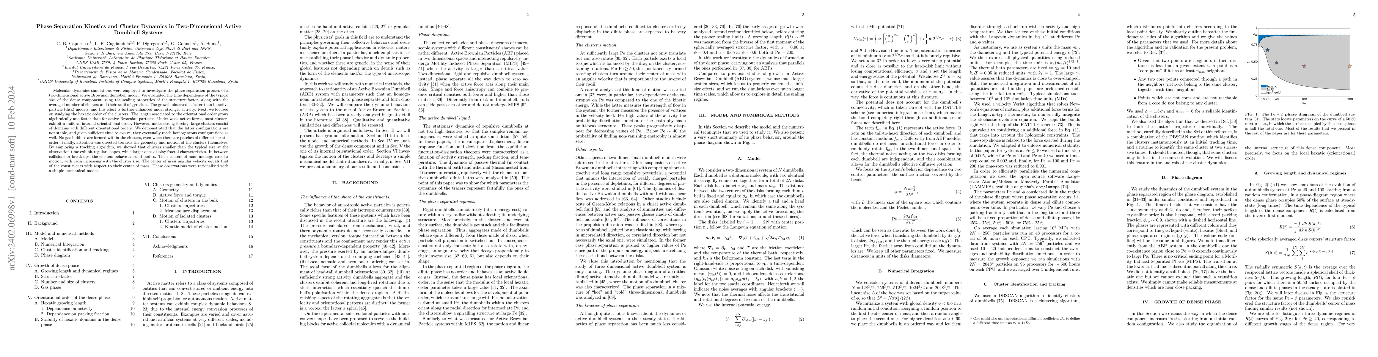 Thumbnail for Phase Separation Kinetics and Cluster Dynamics in Two-Dimensional Active
  Dumbbell Systems